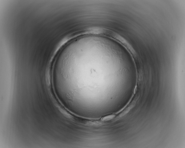 X0000115631083200911171331