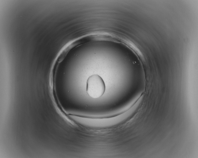 X0000115631084200911171331