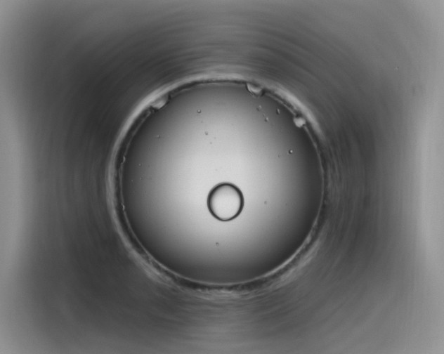 X0000115631085200911171331