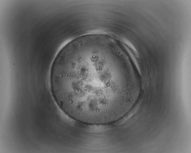 X0000115631087200911171331