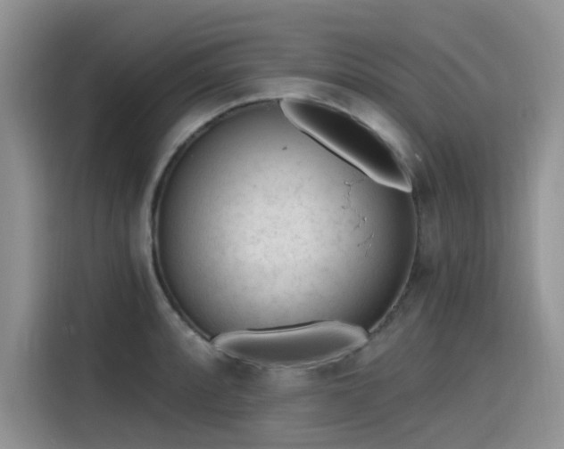 X0000115631088200911171331