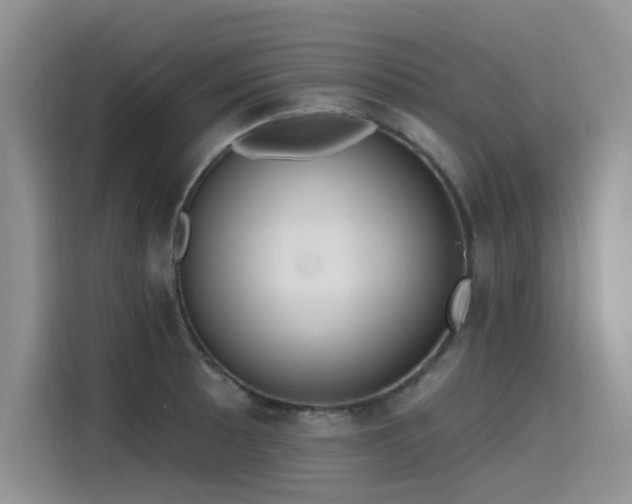 X0000115631089200911171331
