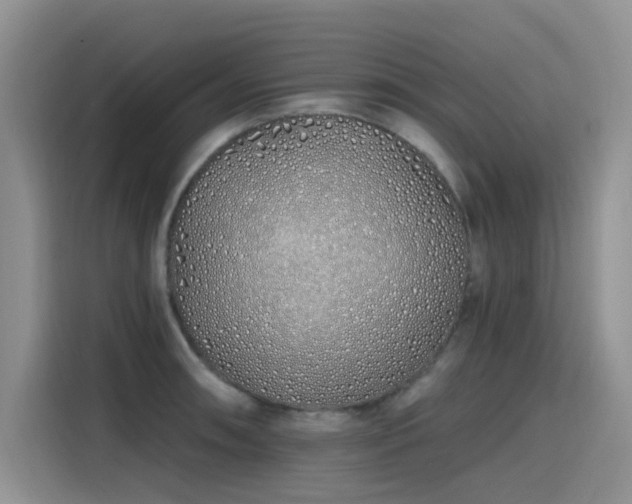 X0000115631090200911171331