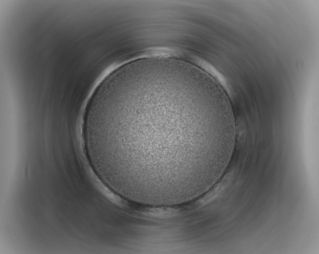 X0000115631091200911171331