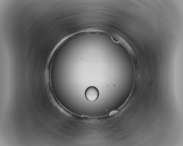 X0000115631092200911171331