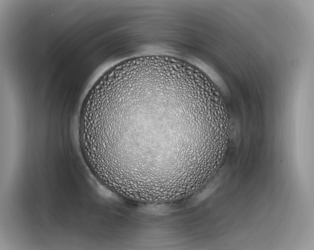 X0000115631094200911171331