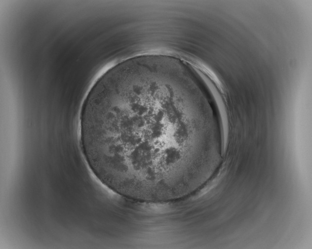 X0000115631095200911171331