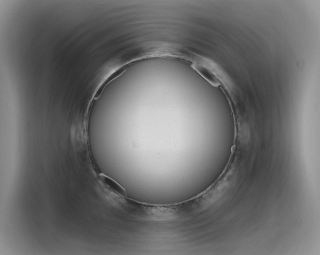 X0000115631097200911171331