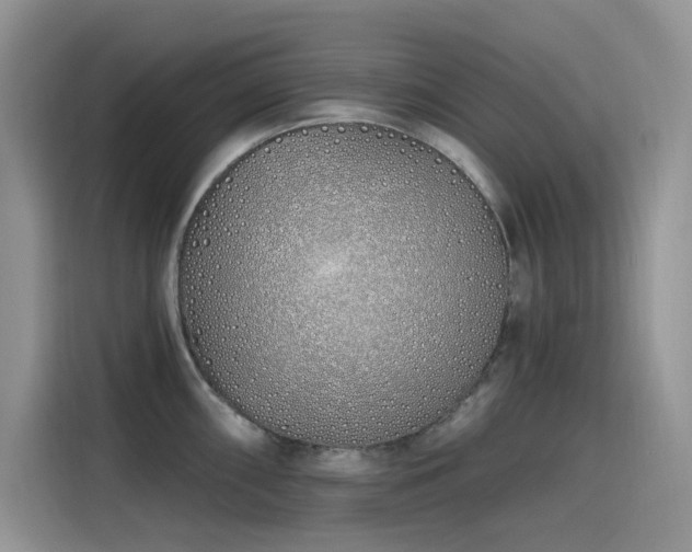 X0000115631098200911171331
