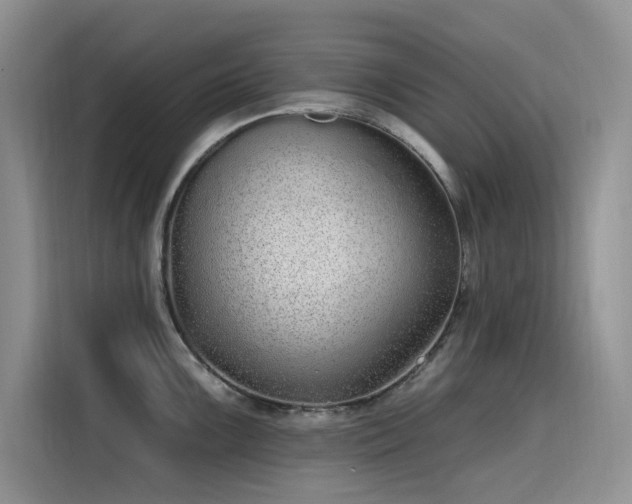 X0000115631099200911171331