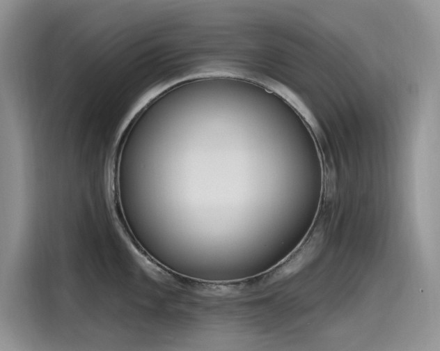X0000115631101200911171331
