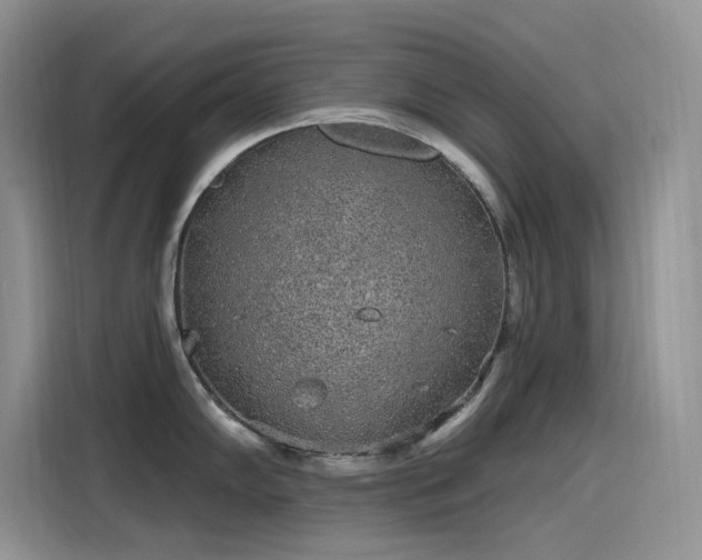 X0000115631102200911171331