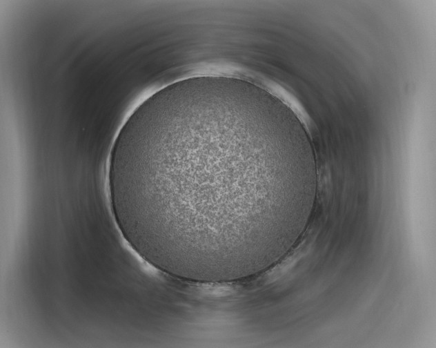 X0000115631103200911171331