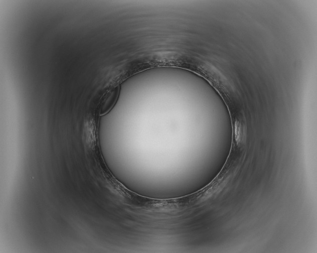 X0000115631107200911171330