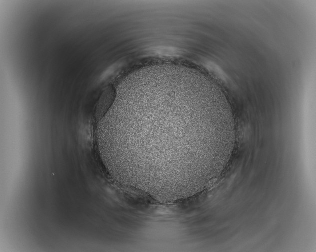 X0000115631110200911171330