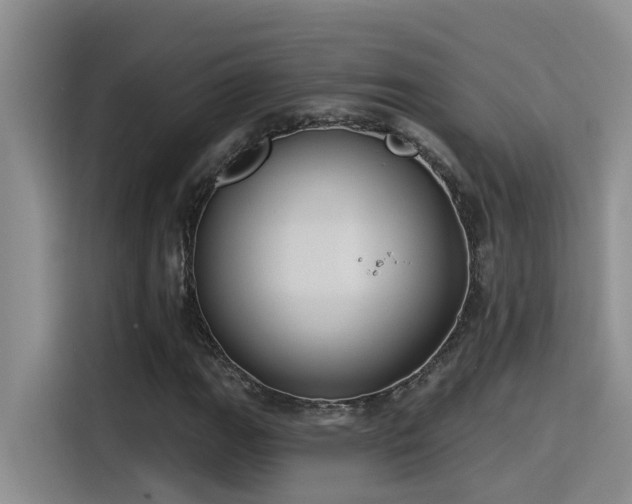 X0000115631111200911171330