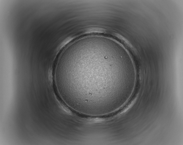 X0000115631113200911171330
