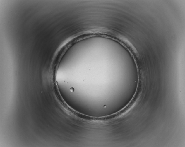 X0000115631114200911171330