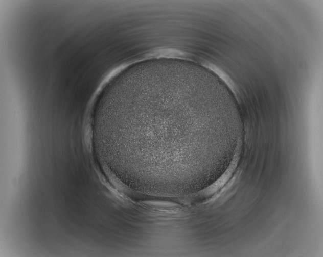 X0000115631115200911171330