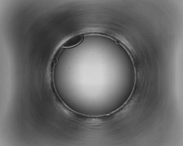 X0000115631119200911171330