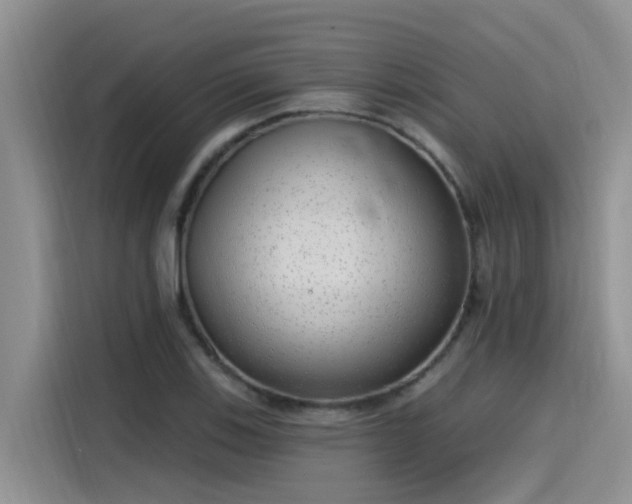 X0000115631123200911171330