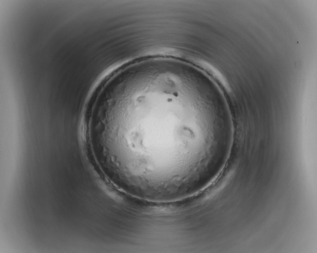 X0000115631125200911171330