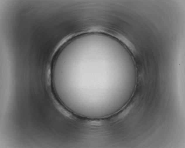 X0000115631126200911171330