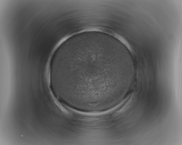 X0000115631127200911171330