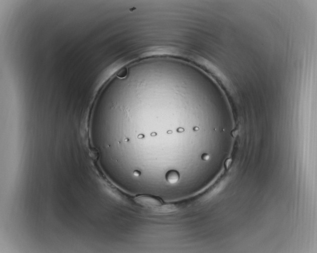 X0000115631129200911171330