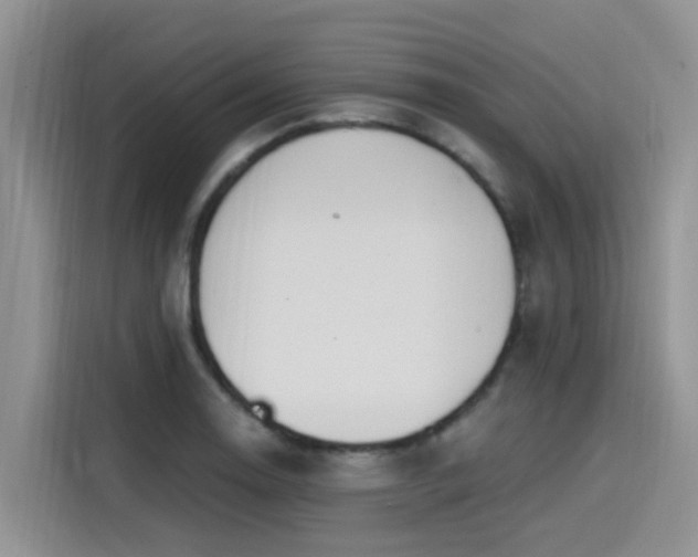 X0000115631130200911171330