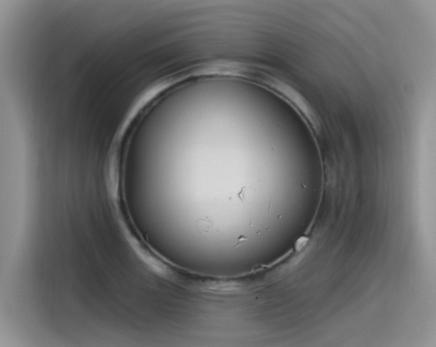 X0000115631131200911171330