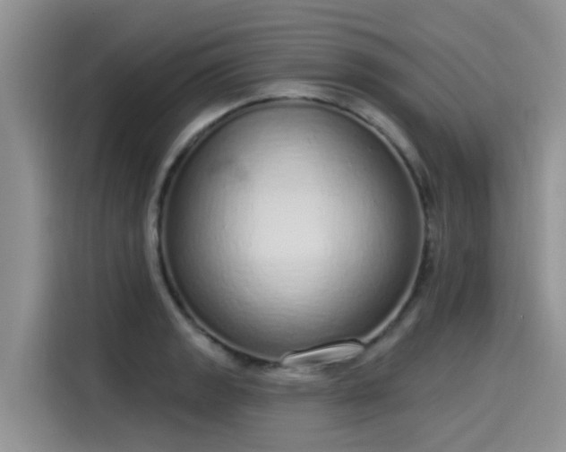 X0000115631133200911171330