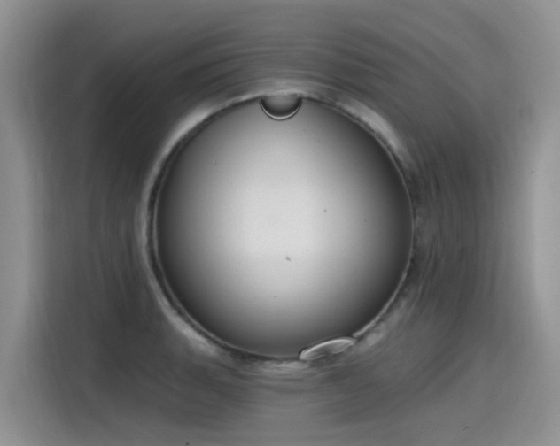 X0000115631135200911171330
