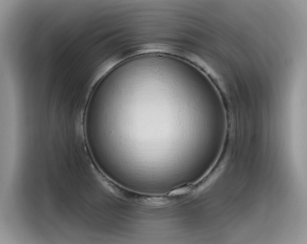 X0000115631137200911171330