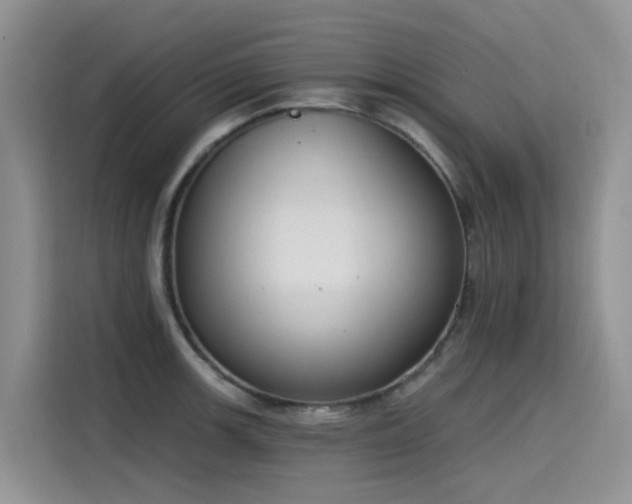 X0000115631139200911171331