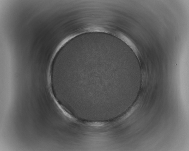 X0000115631141200911171331