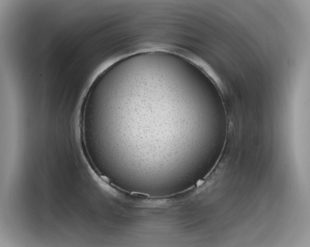 X0000115631143200911171331