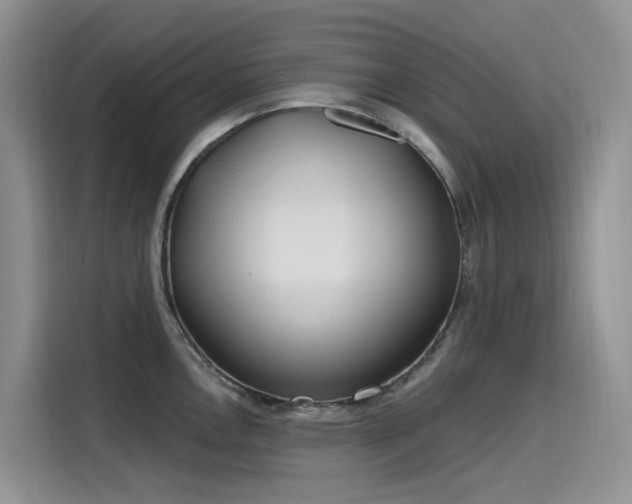 X0000115631146200911171331