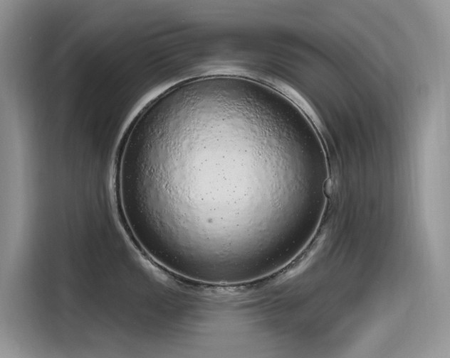 X0000115631149200911171331
