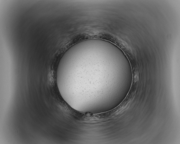 X0000115631156200911171330