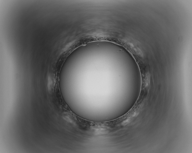 X0000115631157200911171330