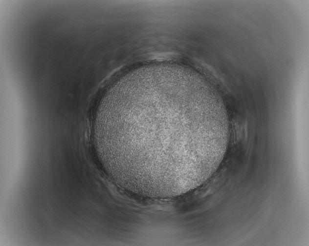X0000115631158200911171330