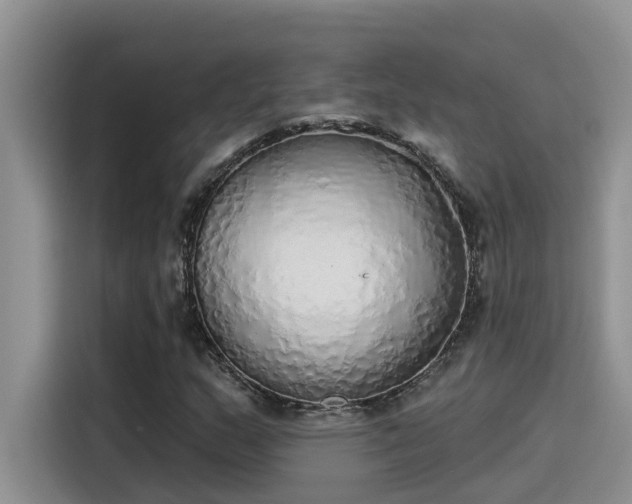 X0000115631159200911171330