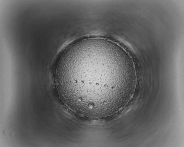 X0000115631160200911171330