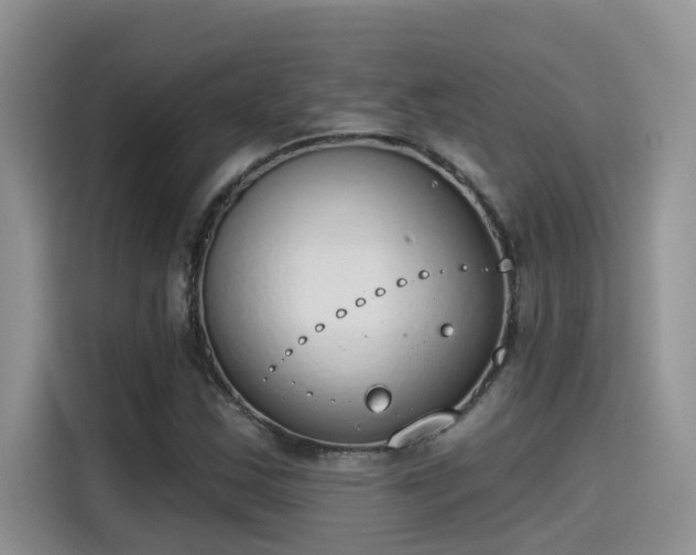 X0000115631163200911171330