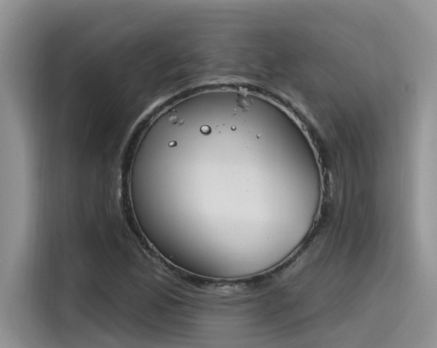 X0000115631165200911171330