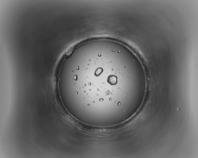 X0000115631167200911171330
