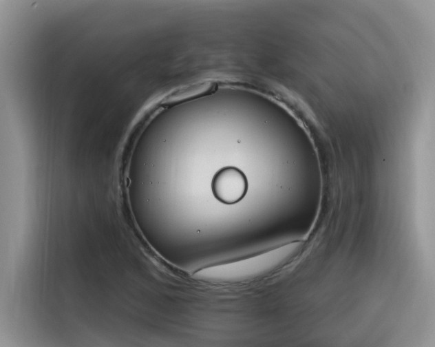 X0000115631168200911171330