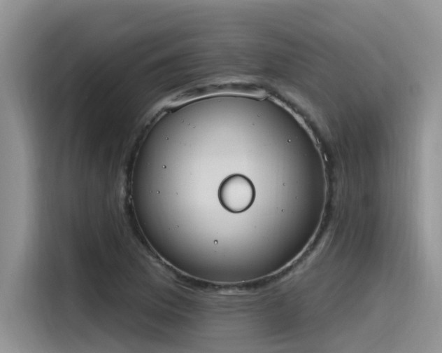 X0000115631169200911171330