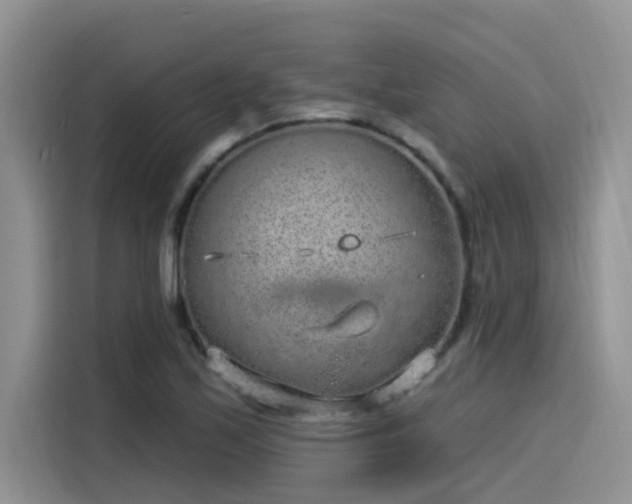 X0000115631171200911171330